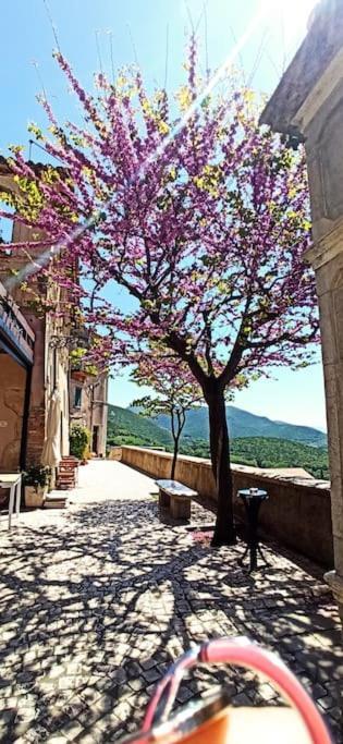Casperia Relax Nell' Antico Borgo 빌라 외부 사진